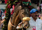 Giacomo Sires First Foal