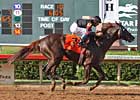 'Gizmo and Gomez Get 'Em at Lone Star