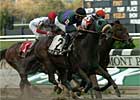 Gold and Roses Likes Inner Track