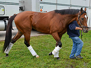 Goldencents Arrives at Pimlico Goldencents Arrives at Pimlico