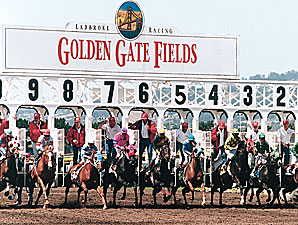 Golden Gate Hikes El Camino Real Derby Purse Golden Gate Hikes El Camino Real Derby Purse
