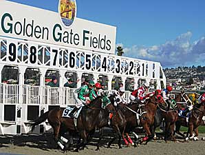 Tapeta Gives Golden Gate a Boost Tapeta Gives Golden Gate a Boost
