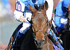 Slideshow: Breeders' Cup 2010 Day 2