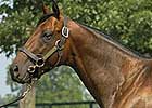 First U.S. Winner by Good Reward First U.S. Winner by Good Reward