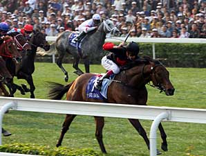 Good Ba Ba to be Moved to New Stable Good Ba Ba to be Moved to New Stable