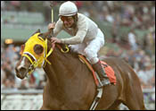 Got Koko KO's You at 17-1 in La Brea Stakes Got Koko KO's You at 17-1 in La Brea Stakes