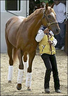 Greeley's Galaxy 'Smooth as Silk' for Malibu Greeley's Galaxy 'Smooth as Silk' for Malibu