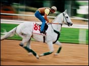 On Eve of World Cup, Focus is on Racing Not Nearby War On Eve of World Cup, Focus is on Racing Not Nearby War