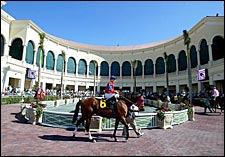 Gulfstream Opener: Patrons Miss the Grandstand Gulfstream Opener: Patrons Miss the Grandstand