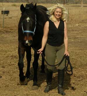 A Horse Named Gus A Horse Named Gus