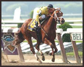 Saratoga Notebook: Gygistar, Miss Linda on Track; Mid-Meet Leaders; Champ is Back; Ward Barn Update Saratoga Notebook: Gygistar, Miss Linda on Track; Mid-Meet Leaders; Champ is Back; Ward Barn Update