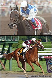 Halfbridled, Cuvee Top BC Juvenile Futures Halfbridled, Cuvee Top BC Juvenile Futures