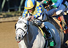 Triple Crown Talk: All About the Gotham