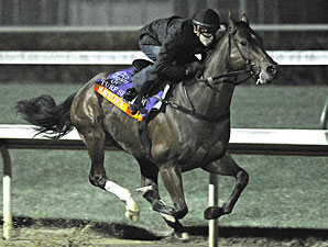 Turf Sprint: Regally Ready 3-1 Favorite Turf Sprint: Regally Ready 3-1 Favorite