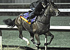 Hangin' With Haskin: Friday Longshots Hangin' With Haskin: Friday Longshots