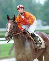 Multiple Grade I Winner Heritage of Gold Retired Multiple Grade I Winner Heritage of Gold Retired