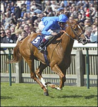 Casual Look Among Fillies Confirmed for Vodafone Oaks Casual Look Among Fillies Confirmed for Vodafone Oaks