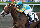 Grade II Winner High Again Dies Grade II Winner High Again Dies