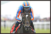 European Race Report: Numbers Game European Race Report: Numbers Game