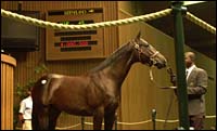 Stop the Presses: Keeneland July Sale Alive and Well Stop the Presses: Keeneland July Sale Alive and Well