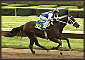Grand Slam Filly Turns in Fastest Quarter at Keeneland Under Tack Show Grand Slam Filly Turns in Fastest Quarter at Keeneland Under Tack Show