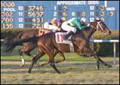 A Horse for the Course: Histoire Sainte Wins Again at Fair Grounds A Horse for the Course: Histoire Sainte Wins Again at Fair Grounds