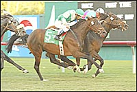 Frankel Record Rolls On Continuously Frankel Record Rolls On Continuously