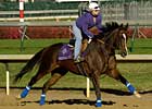 Hollywood Story's First Foal Hollywood Story's First Foal