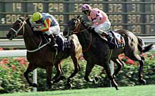 Hong Kong Jockey Club Fines Jockey Childs Hong Kong Jockey Club Fines Jockey Childs