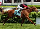 Honor in War Retired in Australia Honor in War Retired in Australia