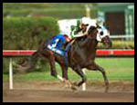 Hook and Ladder at Home in Gulfstream's Mr. Prospector Hook and Ladder at Home in Gulfstream's Mr. Prospector