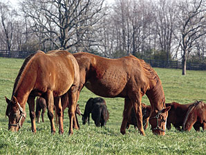 Equine Aftercare Organization Adds Directors Equine Aftercare Organization Adds Directors