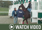 HRTV: Inside Information - 1/17/08 HRTV: Inside Information - 1/17/08