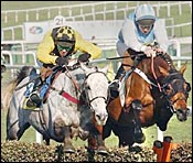 Hardy Eustace Upsets Rooster Booster at Cheltenham Hardy Eustace Upsets Rooster Booster at Cheltenham