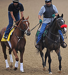 Reddam Enjoys Another Derby Contender Reddam Enjoys Another Derby Contender