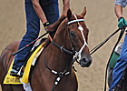 Reddam Enjoys Another Derby Contender Reddam Enjoys Another Derby Contender