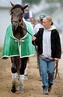 Impeachment, Postponed Prep for Travers Impeachment, Postponed Prep for Travers