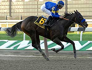 Indian Blessing Makes 2008 Debut Indian Blessing Makes 2008 Debut