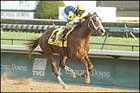 Pletcher-Trained Indian Vale Distaff Favorite