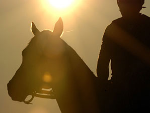 Kentucky, Mexico Team on Equine Industry Kentucky, Mexico Team on Equine Industry