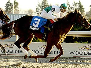 Frankel Sends Out Empire Maker Lass Frankel Sends Out Empire Maker Lass
