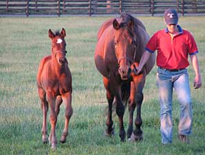 Inside Track: Lucky Stars Inside Track: Lucky Stars