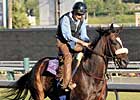 Inside Track: Yatta Yatta Yatta