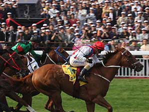 Inspiration a 67-1 Shocker in HK Sprint Inspiration a 67-1 Shocker in HK Sprint