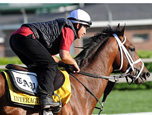 Interactif in Bullet Work; Derby Unlikely Interactif in Bullet Work; Derby Unlikely