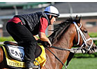 Three Work for Belmont; Interactif in Field