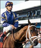 Kentucky Derby Runner-up Invisible Ink Retired Kentucky Derby Runner-up Invisible Ink Retired