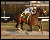 Saratoga Notebook: Jim Dandy Taking Shape; Easyfromthegitgo's Plans Undetermined; Miller Thrown Again Saratoga Notebook: Jim Dandy Taking Shape; Easyfromthegitgo's Plans Undetermined; Miller Thrown Again