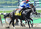 Top Three in 'Ensign' Exit Race in Good Order Top Three in 'Ensign' Exit Race in Good Order
