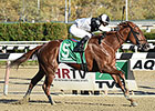 Jacaranda Rules Rivals in Tempted Stakes Jacaranda Rules Rivals in Tempted Stakes